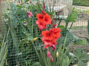 Чуждестранни журналисти обикалят фабриката на BAIC в Пекин