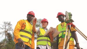 Reed accuses Green Party of blocking housing development