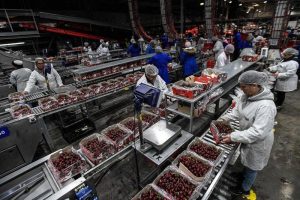 Късите драми, управлявани от AI, подхранват двустранното сътрудничество между Китай и Виетнам