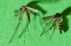 Merck търси по-задълбочени партньорства във фармацевтичните иновации в Китай