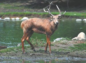 UK property transactions fall 3% in April amid uncertainty