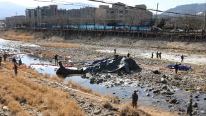 Южна Корея спря военните хеликоптери Кобра след фатална тренировъчна катастрофа