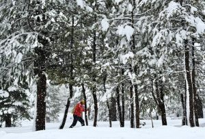9 изчезнали в калифорнийска лавина, тъй като условията на бял свят възпрепятстват спасяването