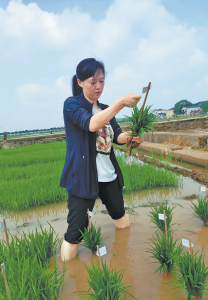 Изследователят носи факела в търсене на глобална продоволствена сигурност